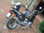 Max450 (60).jpg